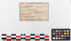 Etiketten zu Bronzebrillenfibel (NHMW-PRAE-023773)